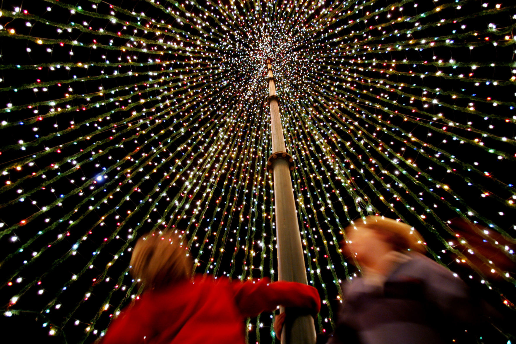 Marion Square inside holiday tree horizontal